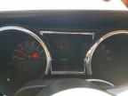Lot #3308673303 2005 FORD MUSTANG