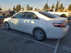 Lot #3309562576 2007 TOYOTA CAMRY CE