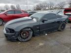 Lot #3312521653 2013 FORD MUSTANG GT