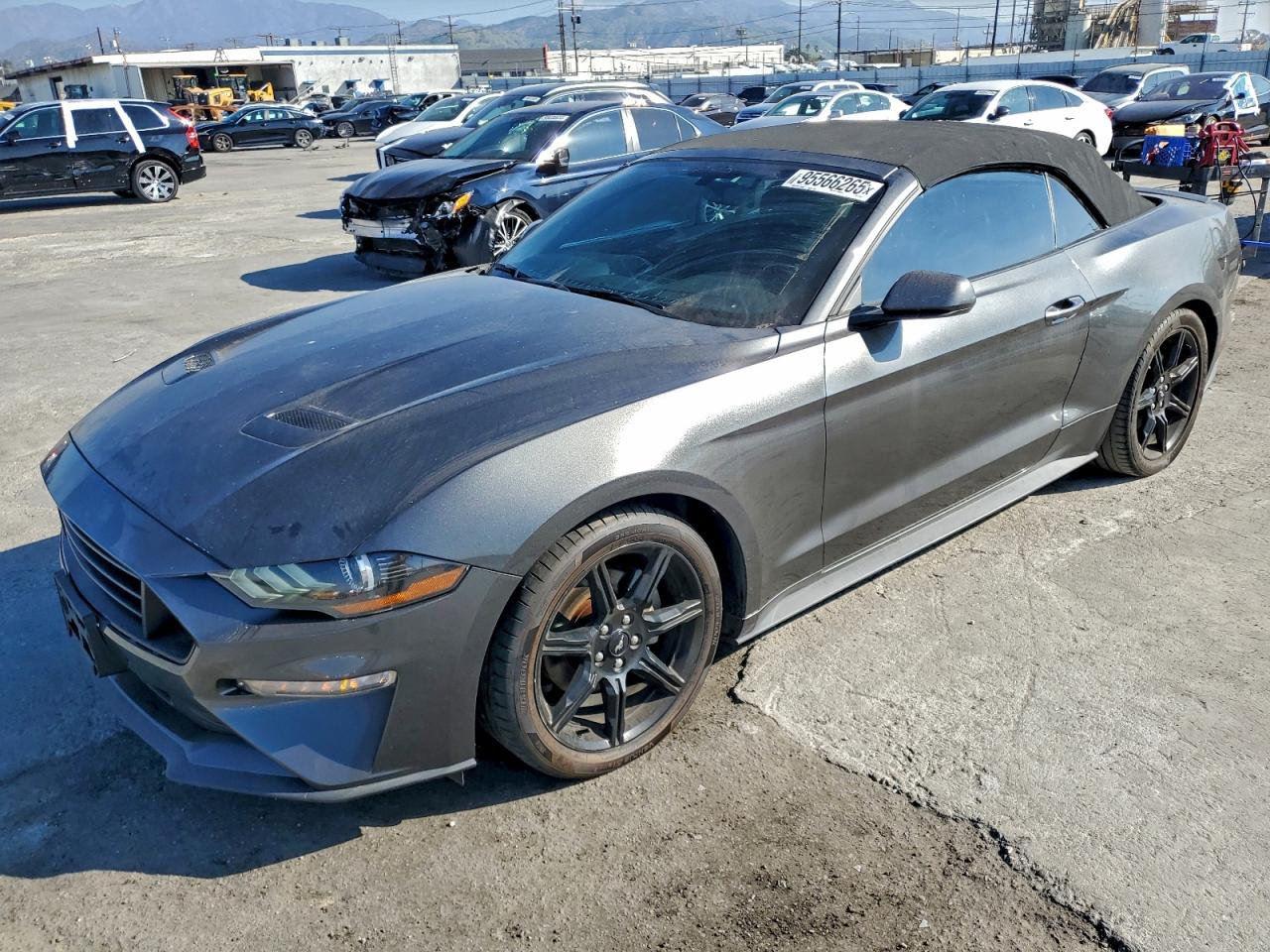 Lot #3309605616 2019 FORD MUSTANG