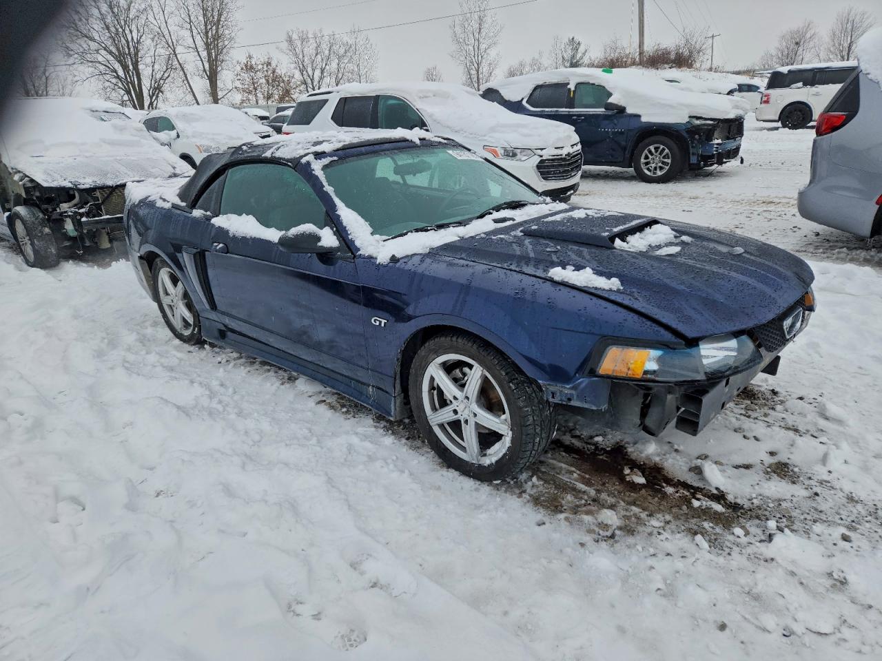 Lot #3304645944 2003 FORD MUSTANG GT