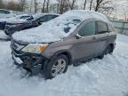 Lot #3309190644 2011 HONDA CR-V EXL