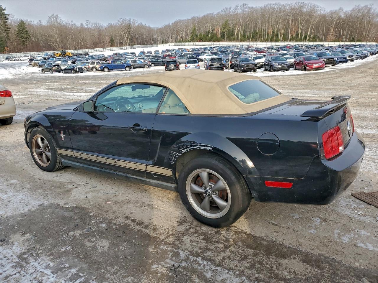 Lot #3310408006 2006 FORD MUSTANG