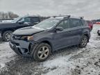 Lot #3313660099 2015 TOYOTA RAV4 XLE