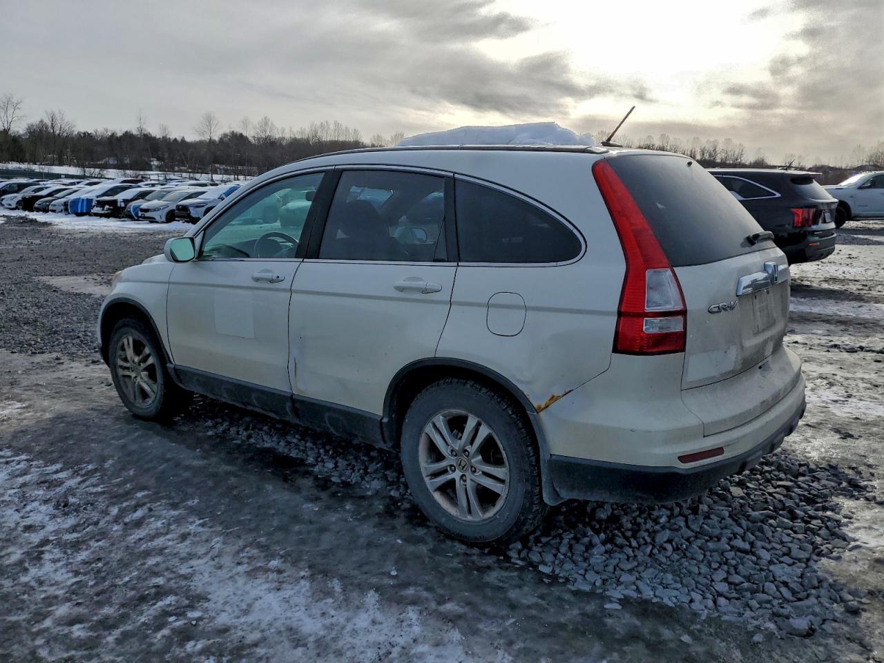 Lot #3308459332 2010 HONDA CR-V EXL
