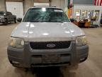 Lot #3318883933 2003 FORD ESCAPE XLT
