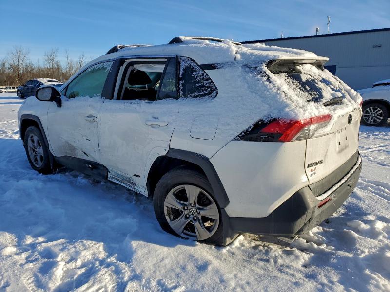 2023 TOYOTA RAV4 XLE #3315732372