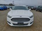 Lot #3317824213 2014 FORD FUSION SE