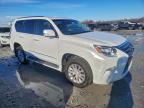 Lot #3305407302 2014 LEXUS GX 460