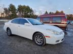 Lot #3305303372 2003 LEXUS ES 300