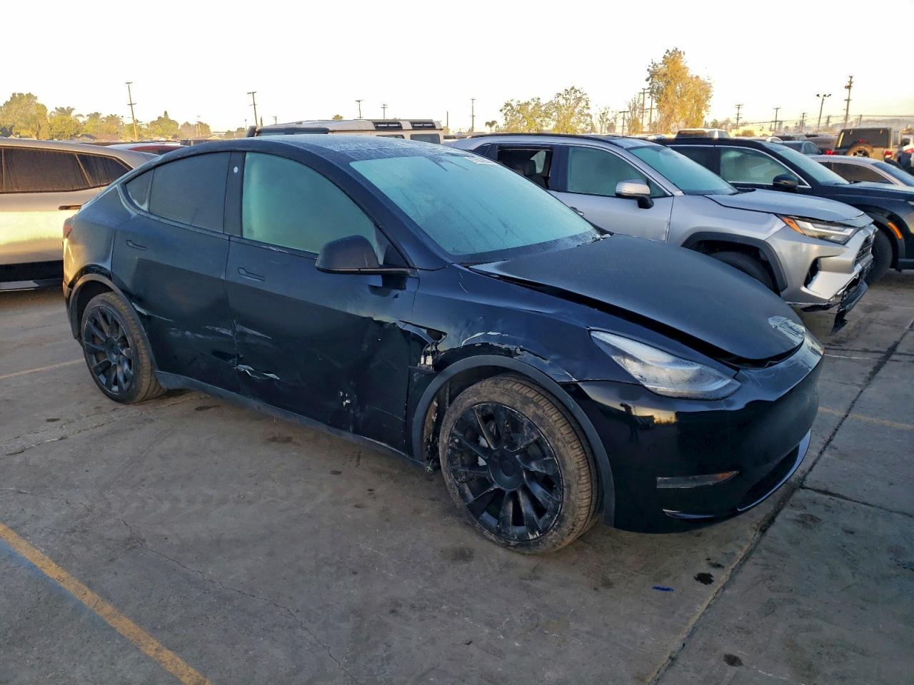 Lot #3320006473 2022 TESLA MODEL Y