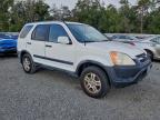 Lot #3318878973 2003 HONDA CR-V EX