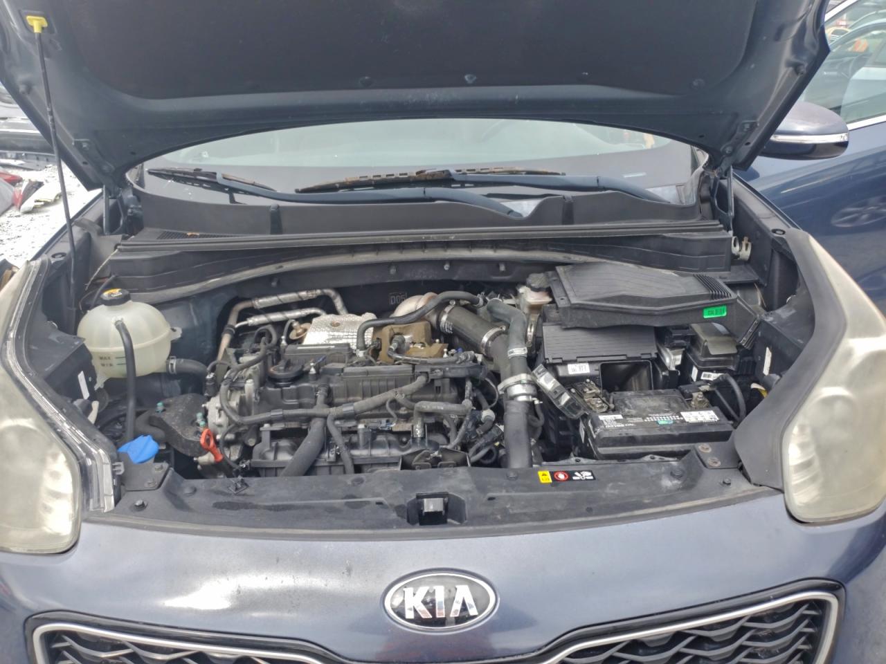 Lot #3318878978 2017 KIA SPORTAGE S