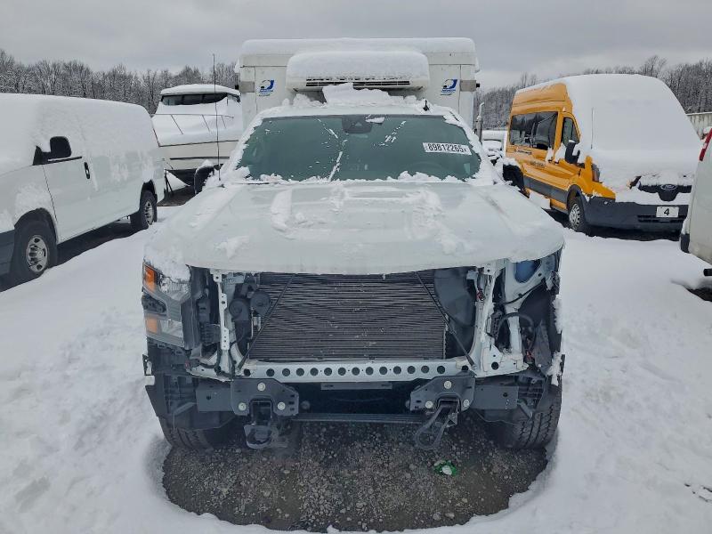 2025 CHEVROLET SILVERADO #3302649020