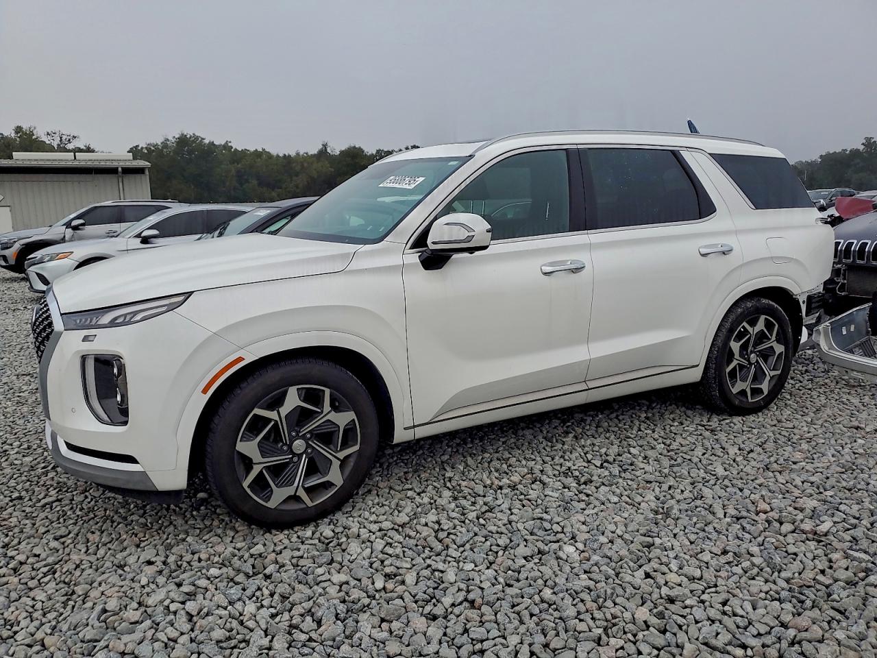 HYUNDAI PALISADE CALLIGRAPHY
