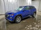 Lot #3316771453 2024 HYUNDAI TUCSON SEL