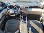 Lot #3306571123 2024 HYUNDAI TUCSON SE