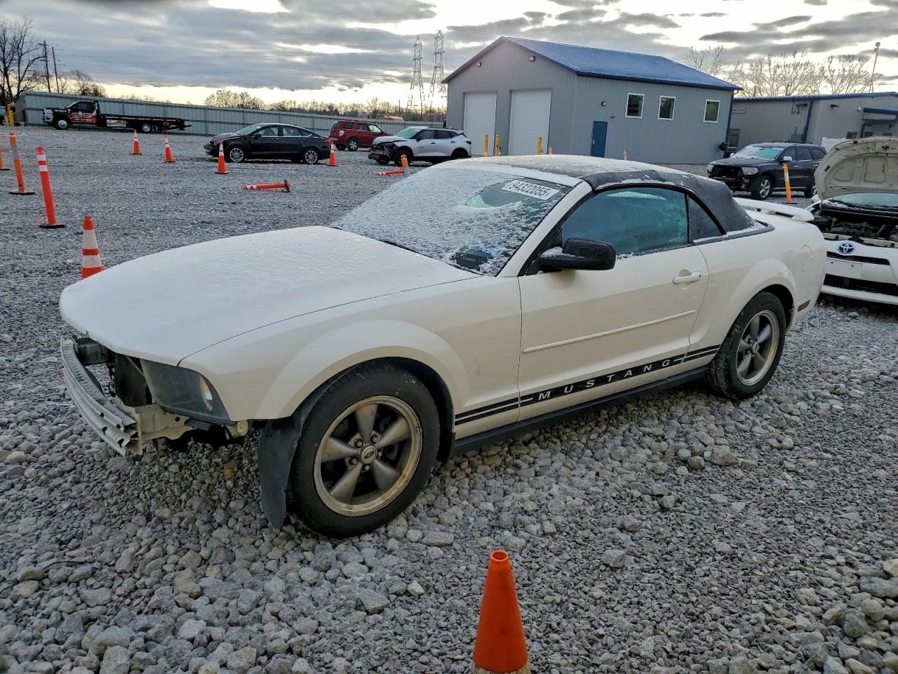 Lot #3301869049 2007 FORD MUSTANG