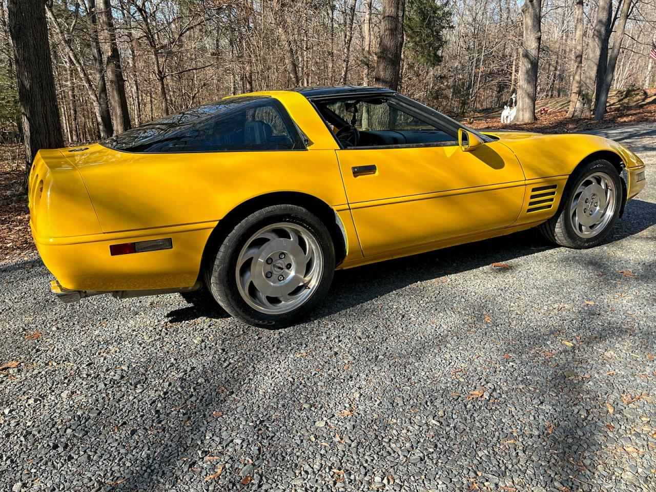 Lot #3315691723 1993 CHEVROLET CORVETTE