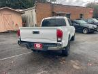 Lot #3305295318 2020 TOYOTA TACOMA DOU