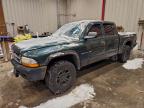 Lot #3312375780 2002 DODGE DAKOTA