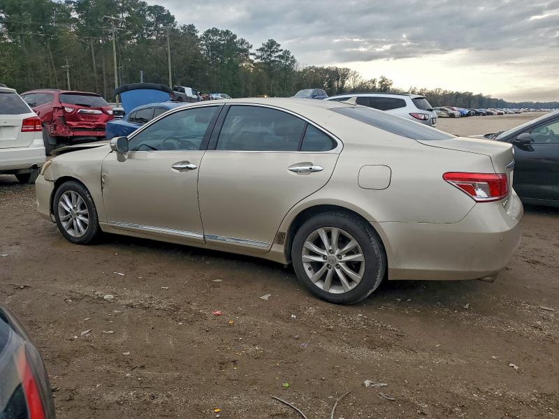 2010 LEXUS ES 350 #3316067236
