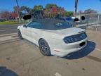 Lot #3308202189 2020 FORD MUSTANG