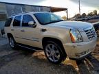 Lot #3311448275 2008 CADILLAC ESCALADE L