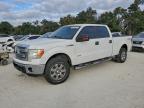 Lot #3303788422 2013 FORD F150 SUPER