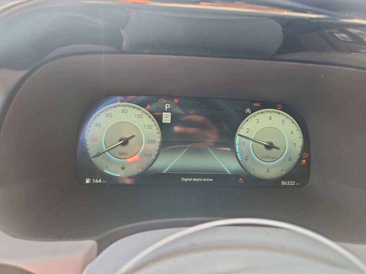 HYUNDAI PALISADE CALLIGRAPHY