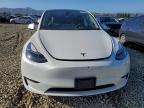 Lot #3303862787 2023 TESLA MODEL Y
