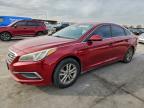 Lot #3310309971 2016 HYUNDAI SONATA SE