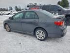 Lot #3316775408 2010 TOYOTA COROLLA BA