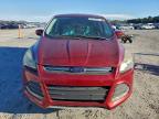 Lot #3317984932 2016 FORD ESCAPE SE