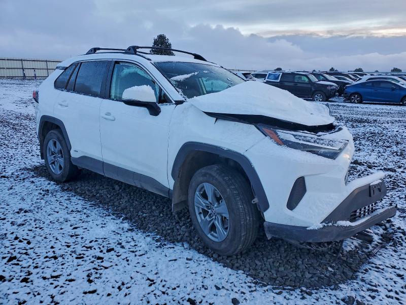 2024 TOYOTA RAV4 XLE #3303792421