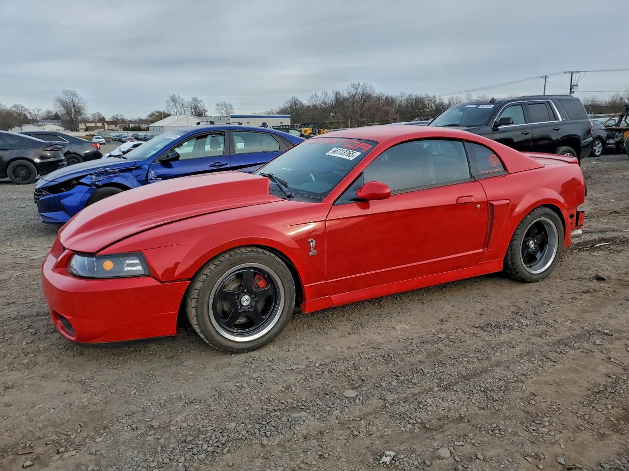 Lot #3309245617 2004 FORD MUSTANG CO