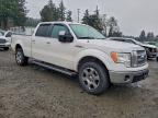 Lot #3305493132 2010 FORD F150 SUPER