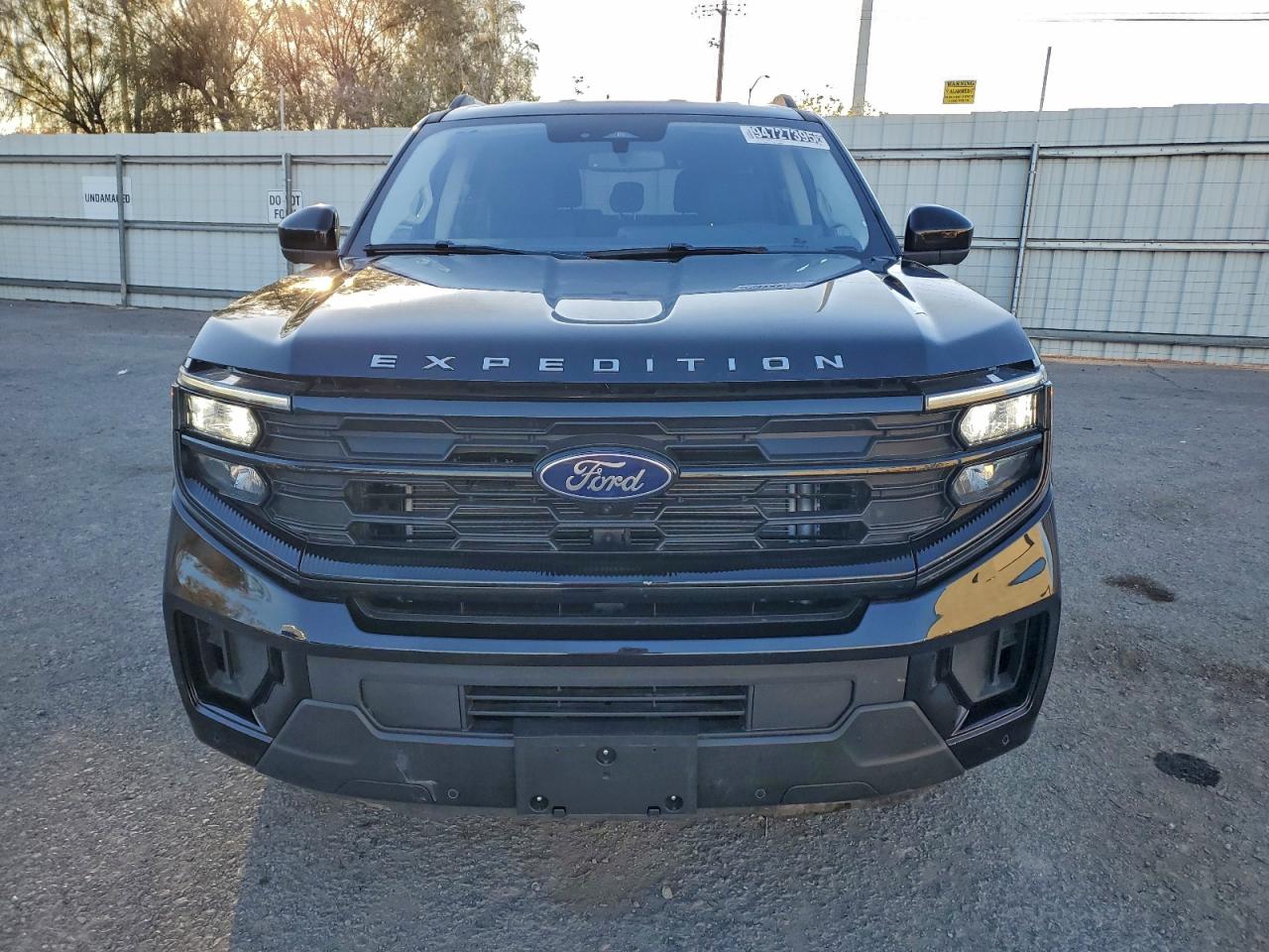 FORD EXPEDITION MAX ACTIVE