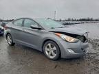 Lot #3309454998 2013 HYUNDAI ELANTRA GL