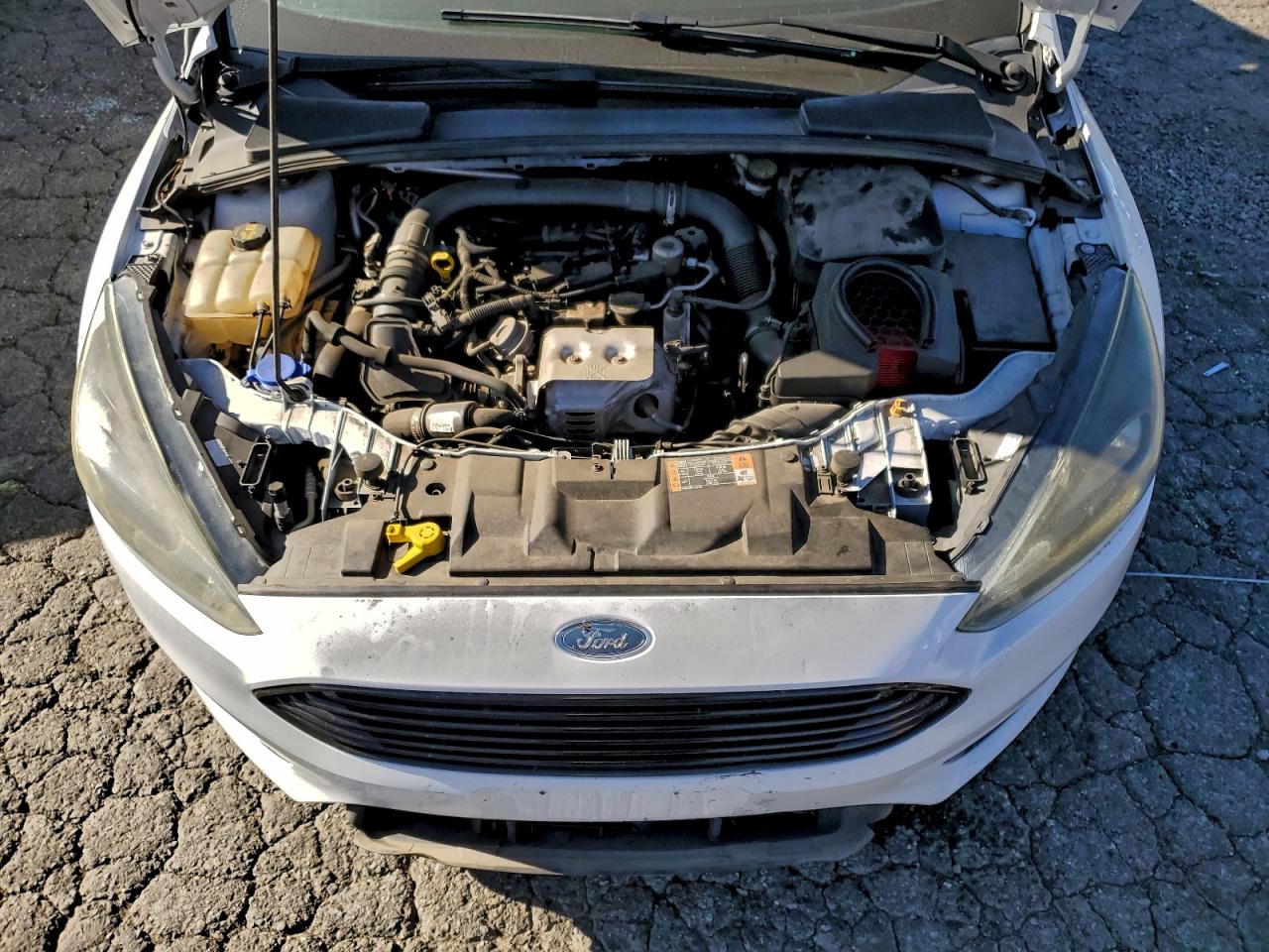 Lot #3318186947 2016 FORD FOCUS SE