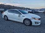 Lot #3303940688 2014 KIA OPTIMA EX