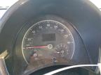 Lot #3312624195 2007 VOLKSWAGEN NEW BEETLE