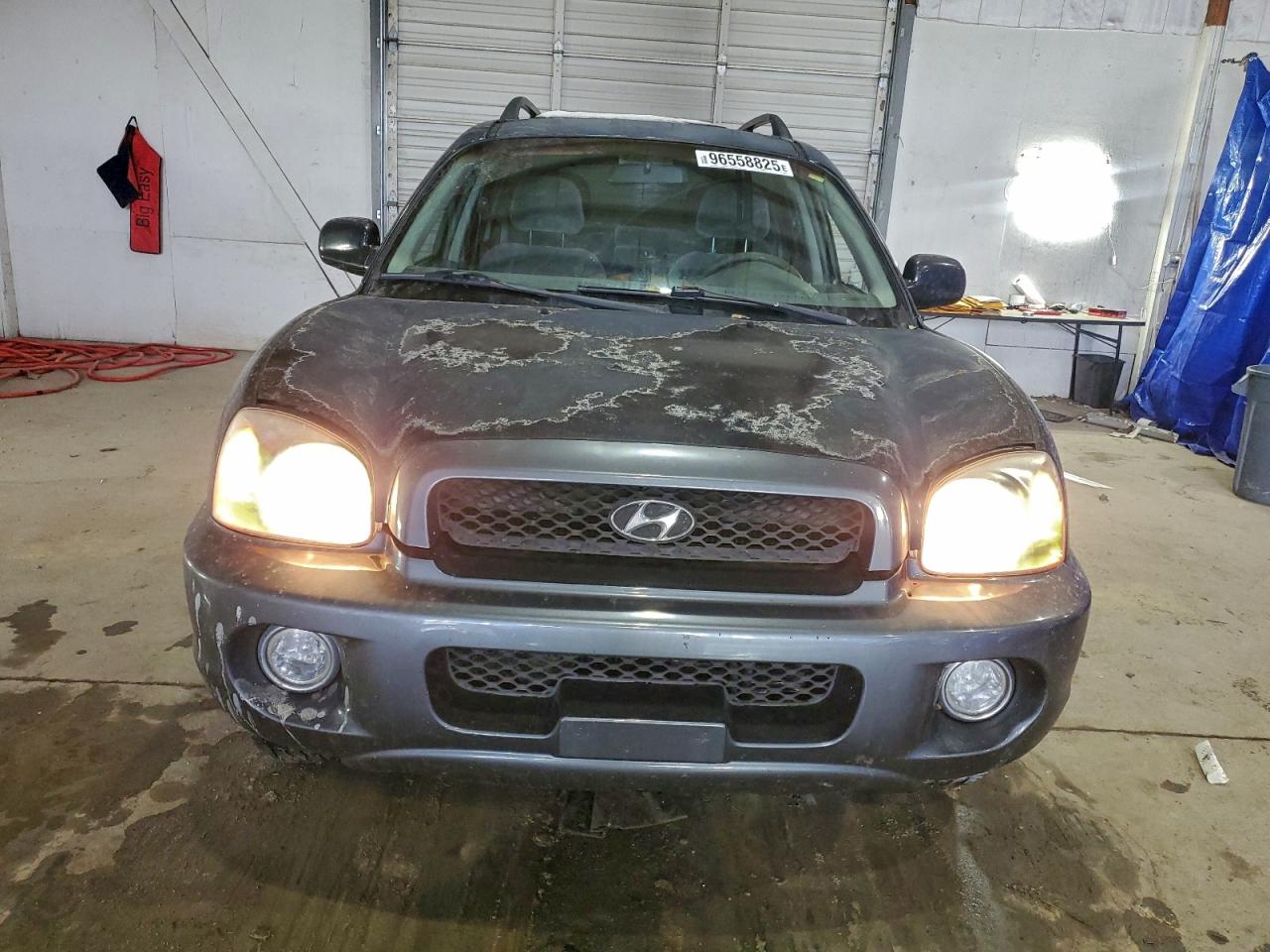 Lot #3315956109 2002 HYUNDAI SANTA FE G