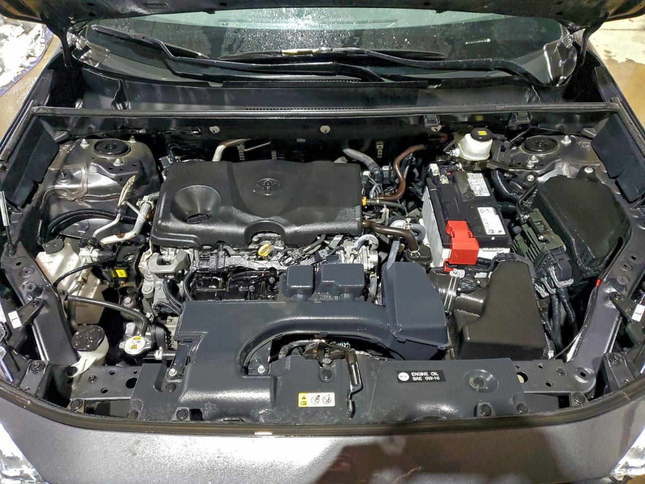 Lot #3316780438 2024 TOYOTA RAV4 XLE