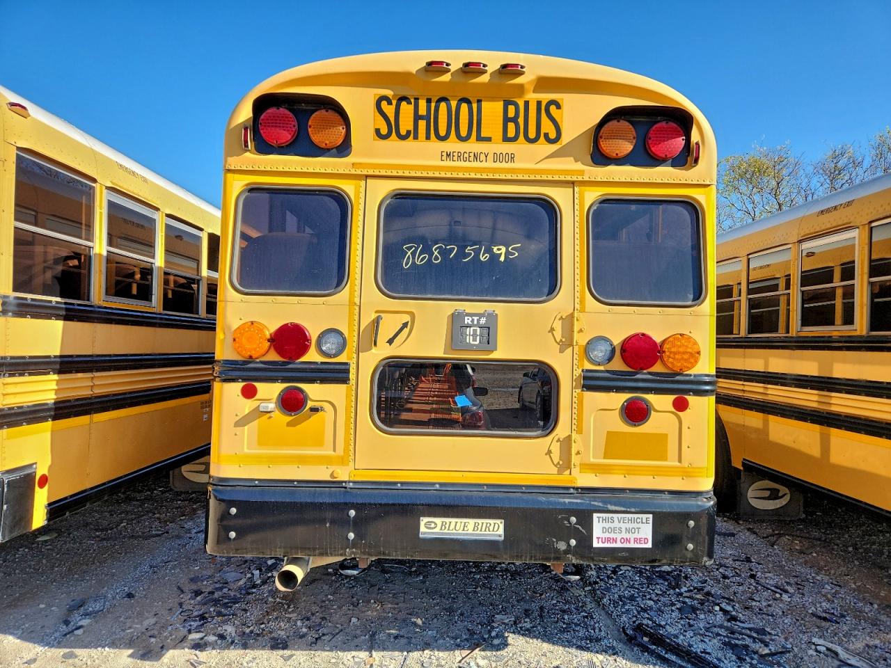 Lot #3305292300 2012 BLUE BIRD SCHOOL BUS