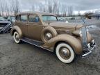 Lot #3308393300 1936 PACKARD 4 DR