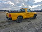 Lot #3309437965 2009 TOYOTA TACOMA