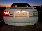 Lot #3304670957 2003 FORD MUSTANG GT