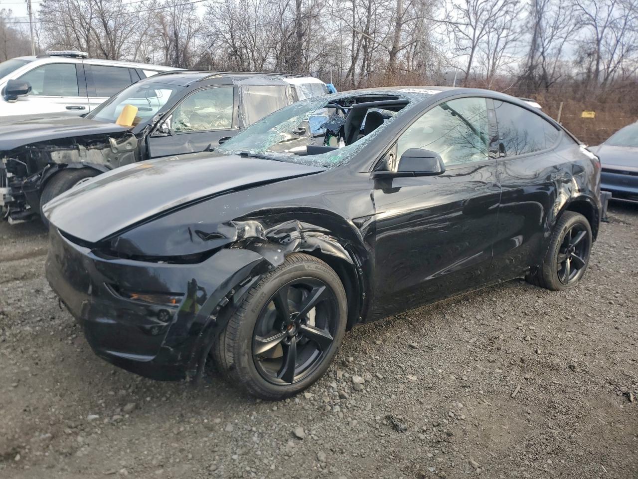 TESLA MODEL Y