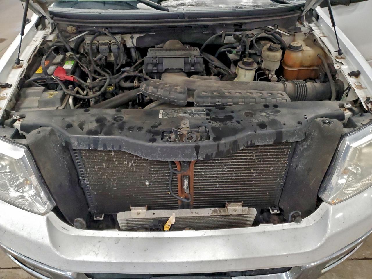 Lot #3302804927 2005 FORD F150